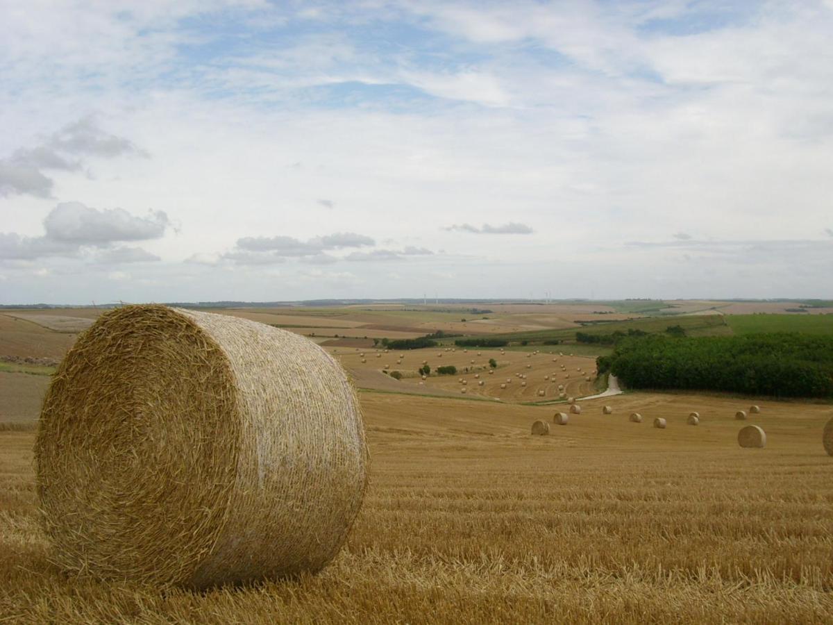 Gite Rural Le Bois Roger Widehem Εξωτερικό φωτογραφία